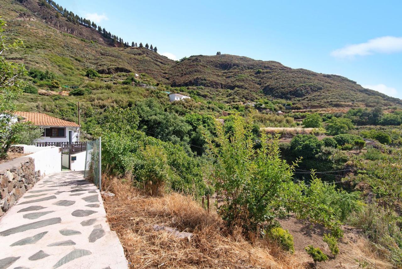 Casa Abuela Fela Villa Vega de San Mateo Eksteriør bilde