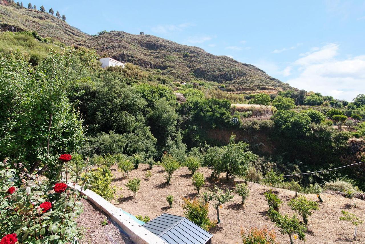 Casa Abuela Fela Villa Vega de San Mateo Eksteriør bilde